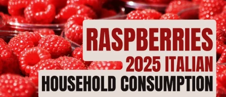 Italy’s raspberry market in 2025: more buyers, recovering volumes and record value-image