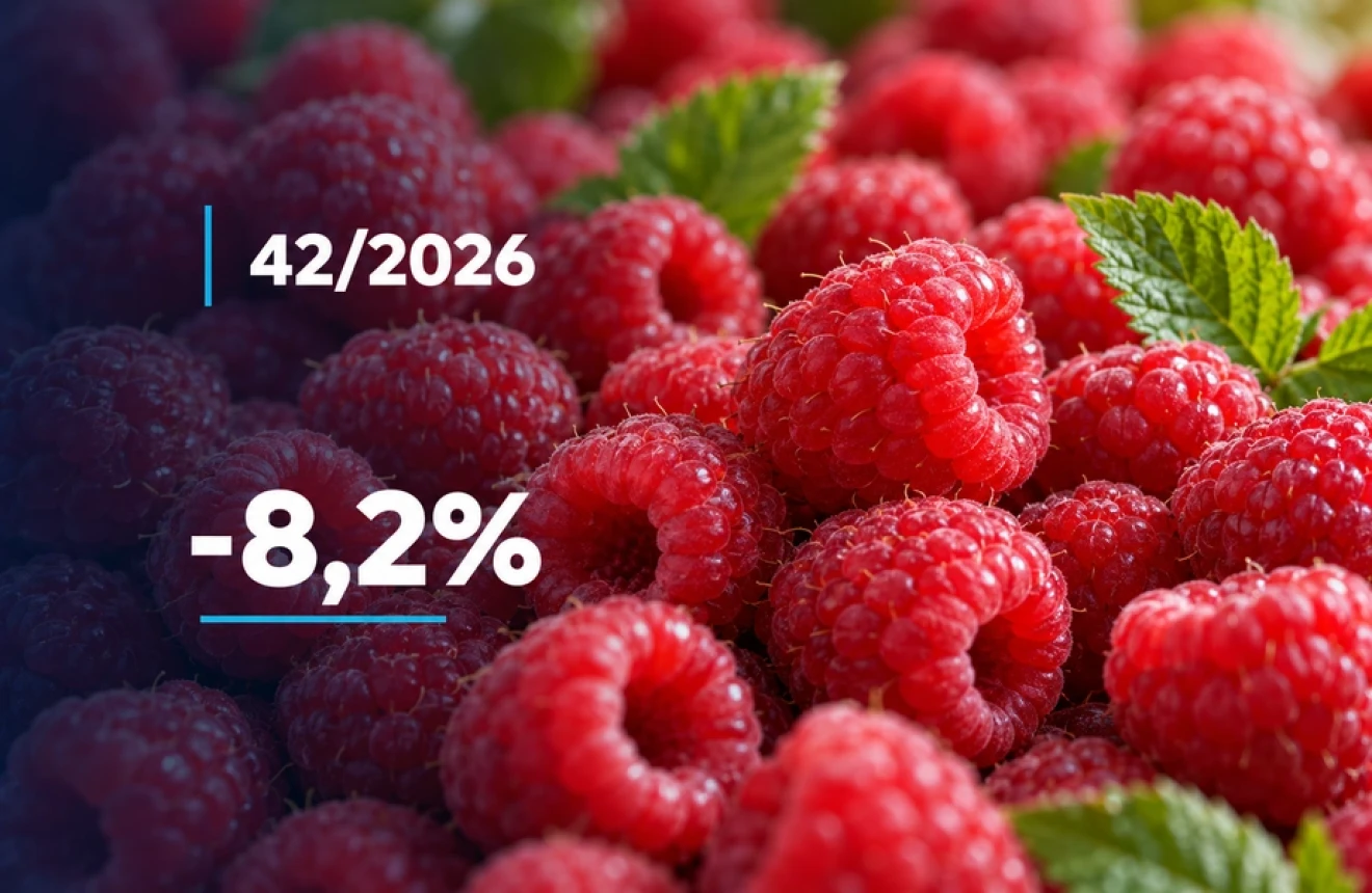 Piccoli frutti nella GDO online italiana: prezzi in calo del 3,6% nella settimana 42 del 2026-image
