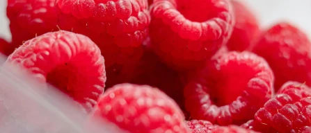 Online berries in Italy: only raspberries up in week 26/2025-image