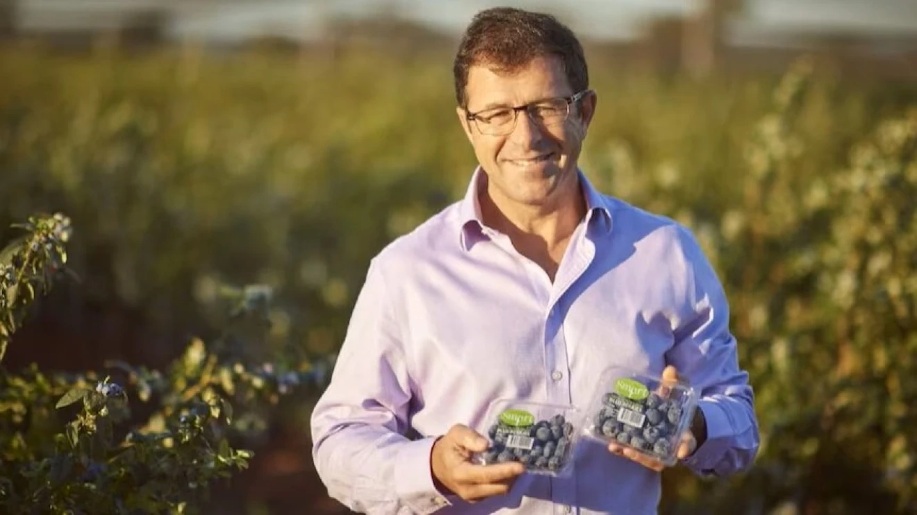 Australia suspends dimethoate use on berries amid food safety concerns and rising consumption-image