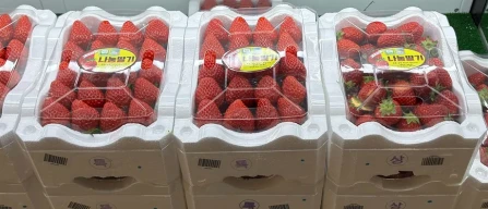 South Korea berry production, market and future trends-image