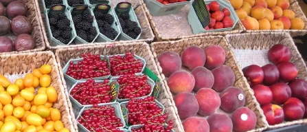 Italy: berry e-commerce prices plummet, blackberries -5.9%-image