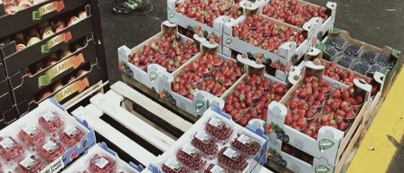 Prezzi sostenuti per i piccoli frutti nei mercati ortofrutticoli nazionali-image