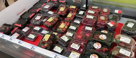 Berries market in Turin: blueberries between Chile and Morocco, higher prices for raspberries and blackberries-image