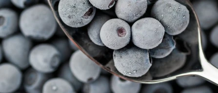 Freezing blueberries: methods for quality and shelf life-image