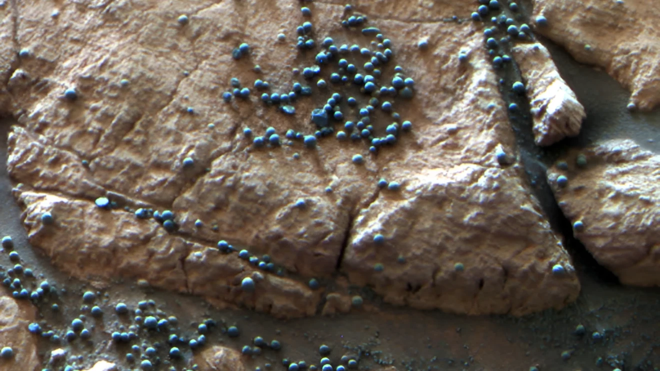 NASA discovered blueberries on Mars and the hypothesis of a habitable red planet is strengthened-image