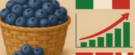 Italy’s blueberry growth: insights from Macfrut 2025