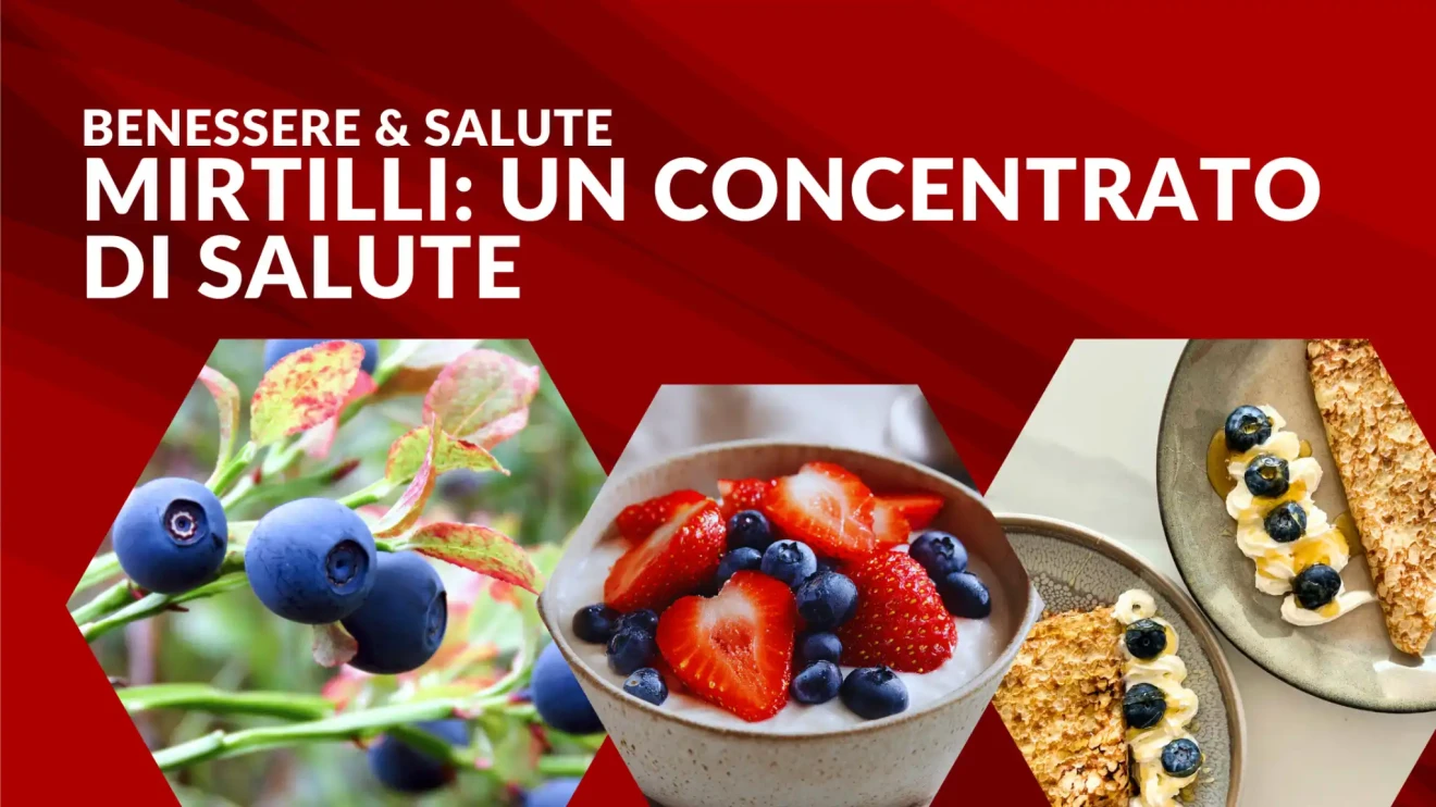 Il mirtillo e i piccoli frutti: un concentrato di salute tra natura e innovazione-image