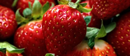 Italian Strawberries: opportunity or missed chance?-image