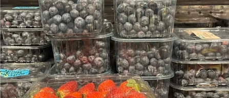 Global blueberry prices rise +7.6% in week 13/2026, driven by strong growth in standard segment-image