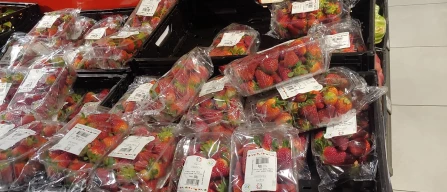 Strawberry Retail Monitor in Bologna showing 24 brands on the shelves and prices from 3 to 11 Euro/kg-image