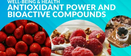 Berries and wellness: antioxidant power, bioactive compounds and optimal preservation for health benefits-image