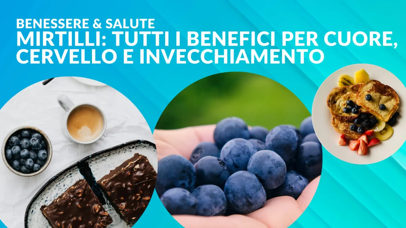 Mirtillo e salute: tutti i benefici per cuore, cervello e invecchiamento provati dalla ricerca-image