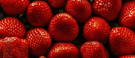 Ukraine: production decline slows as berry exports accelerate-image