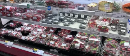 Berries in Brescia retail: high prices and wide assortment across supermarkets – March 2026-image