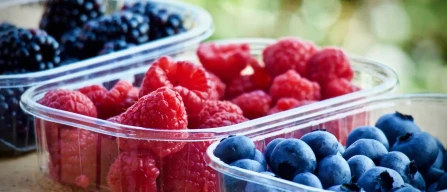 Italy E-commerce: blueberries -3.1%, blackberries +1.7% in week 42/2025-image