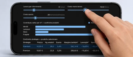 Quanto guadagna un supermercato dai piccoli frutti?-image