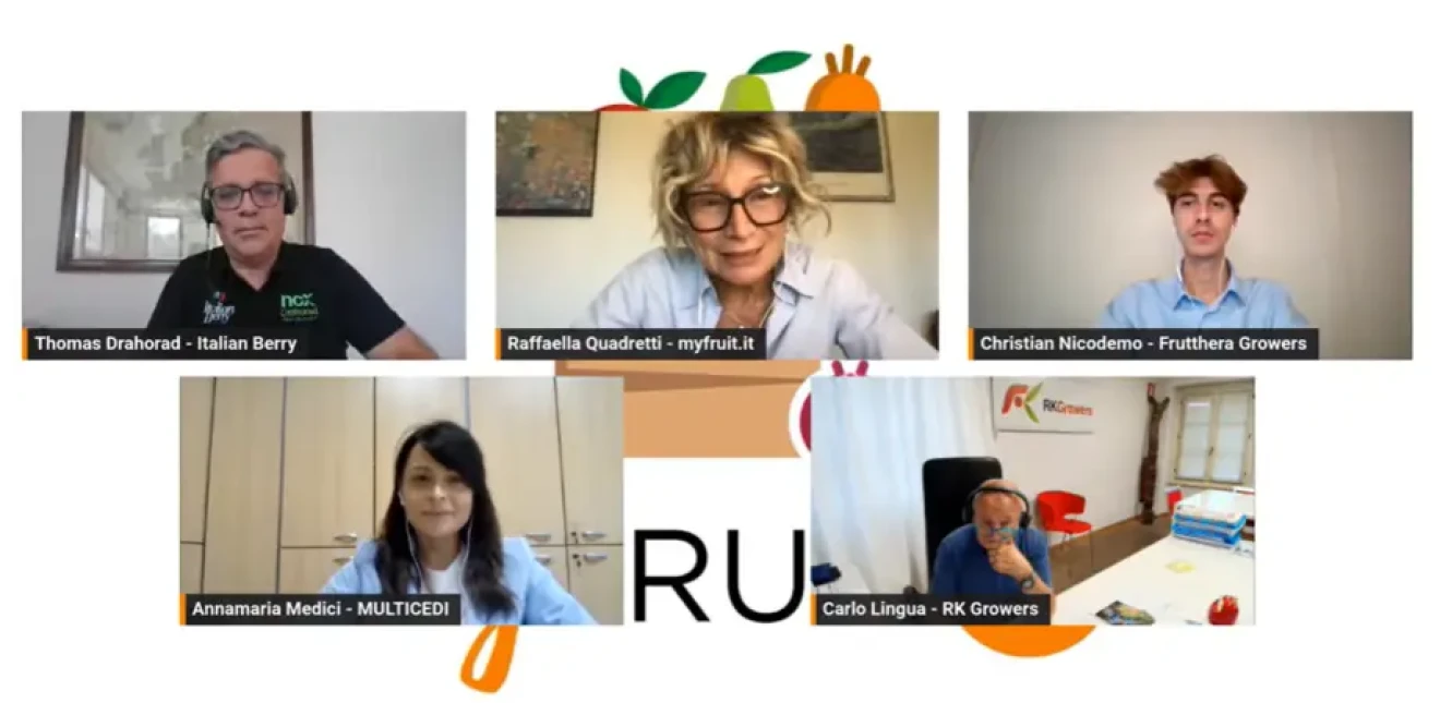 Webinar Berry Trend 2026: the full video-image