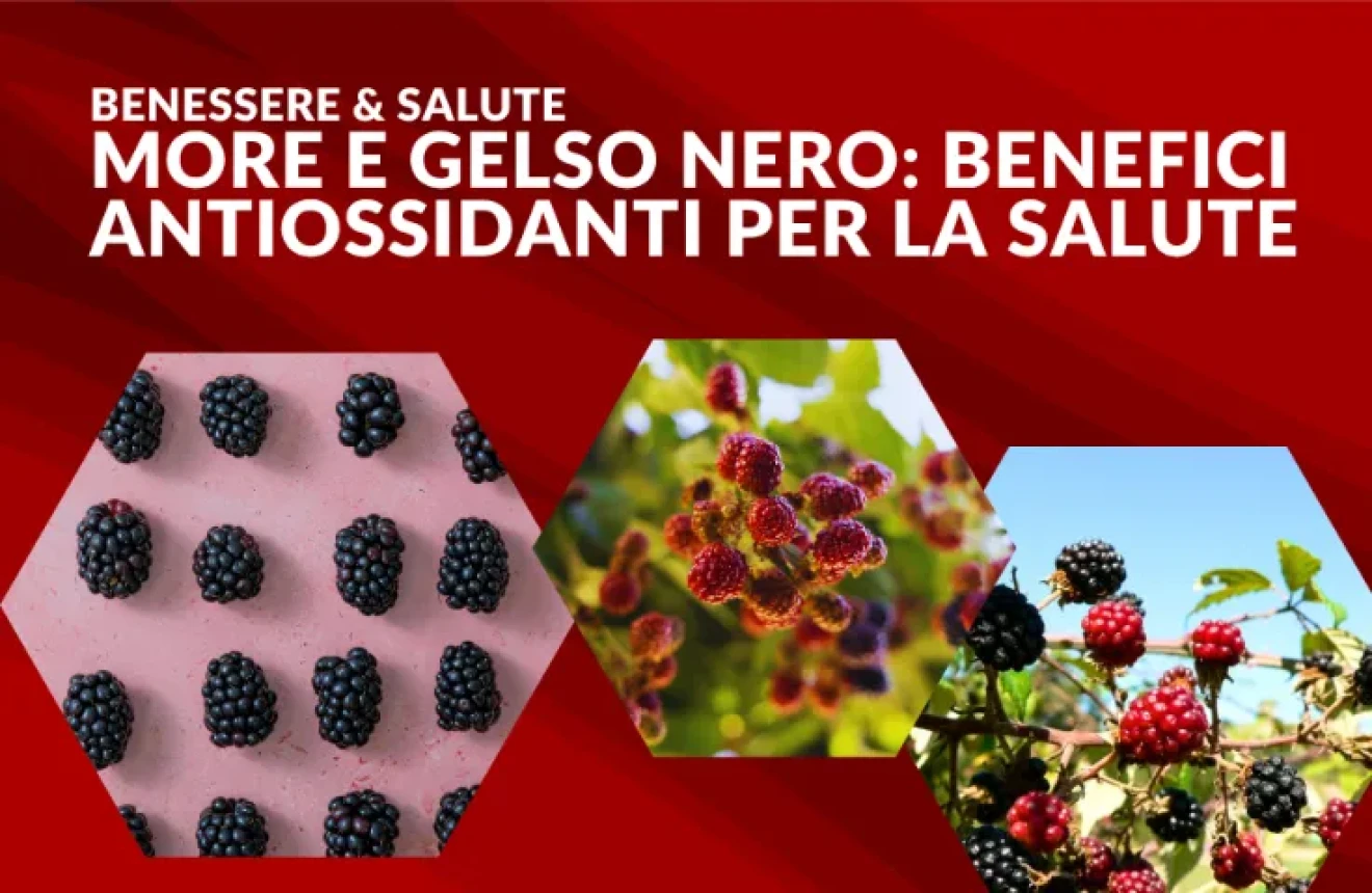 More e gelso nero: benefici, nutrienti e antiossidanti dei frutti di bosco per la salute-image