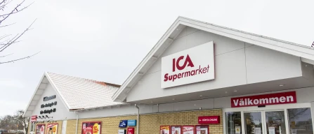 Global blueberry prices rise 3.8% in week 2/2026 across the USA and Europe key retail markets-image