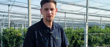 Mechanical blueberry harvesting in Italy: Marco Antolini's experience-image