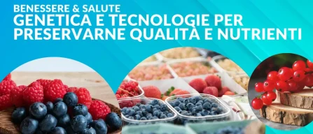Frutti di bosco e salute: genetica e tecnologie per preservarne qualità e nutrienti-image