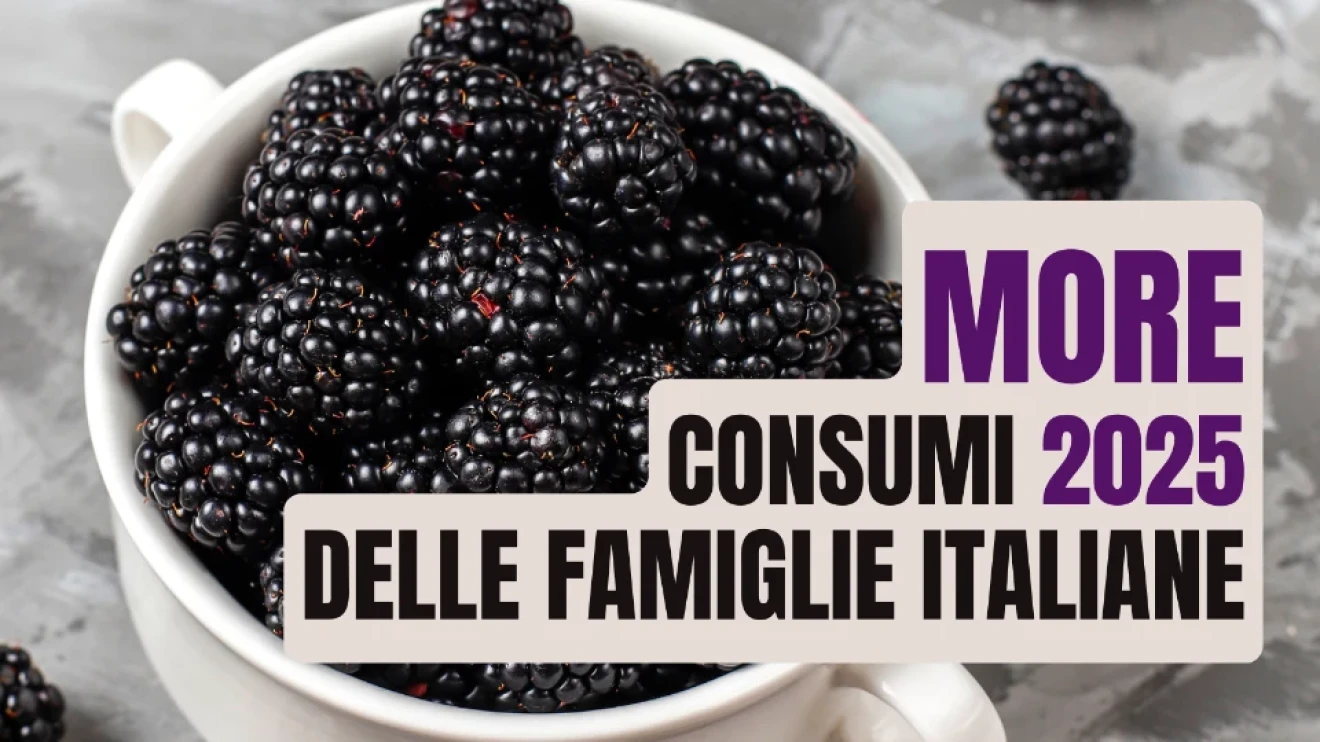 More in Italia 2025: crescono compratori e valore, ma si indebolisce l’intensità d’acquisto-image