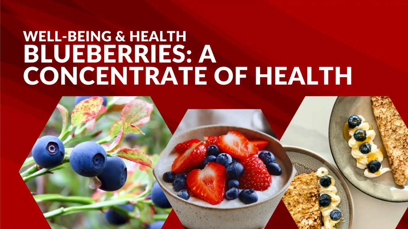 Blueberries and berries: a concentrate of health combining nature and innovation-image