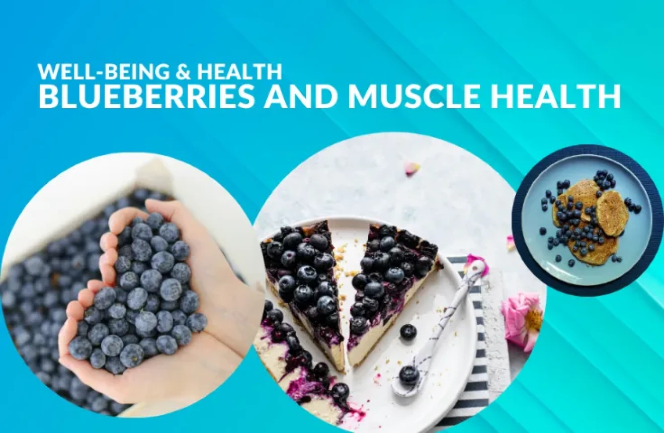 Blueberries and muscle health: the enriched diet that may support cellular regeneration-image