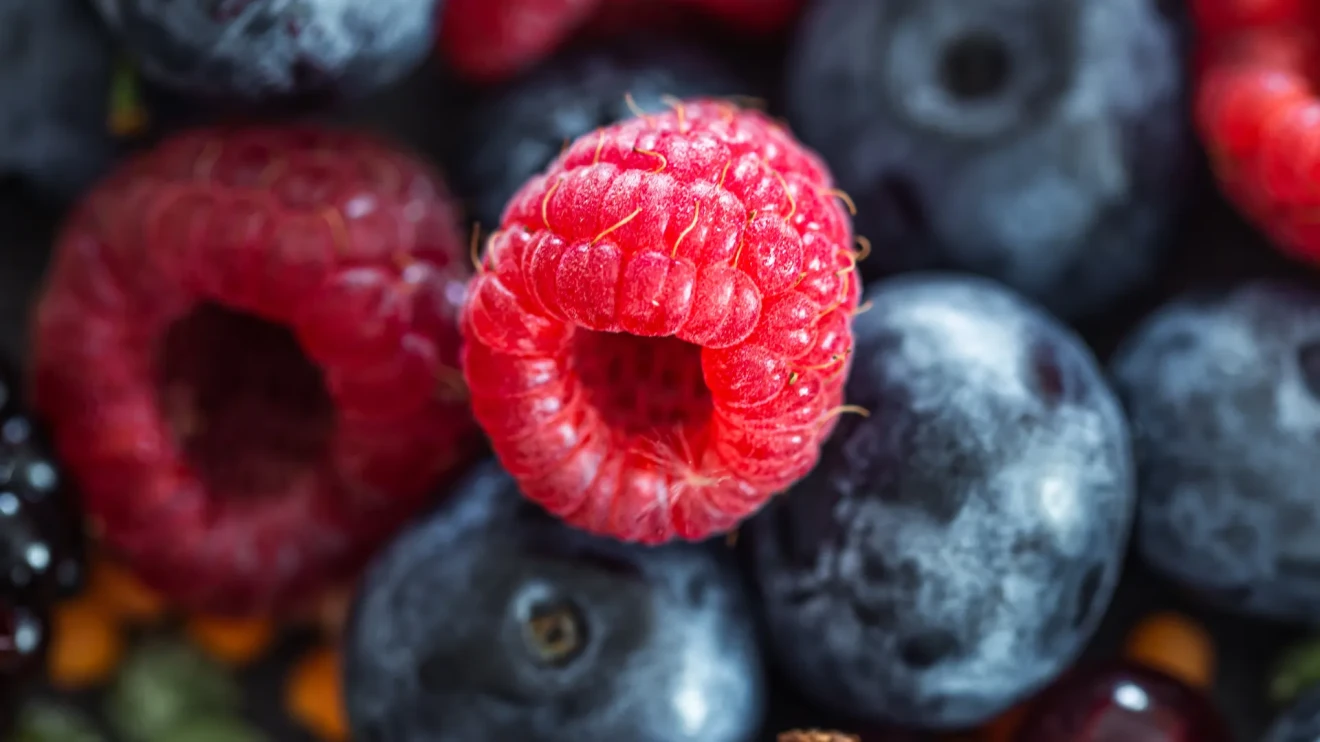 Francia: dinamiche di mercato dei piccoli frutti-image