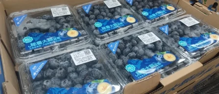 Beyond volume: varietal differentiation drives the profitability of Peruvian blueberries-image
