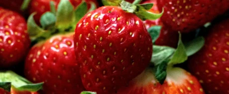 Italian Strawberries: opportunity or missed chance?