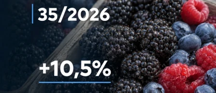 Berries in Italy: online retail prices rise by 5.5%, led by blackberries in week 35 of 2026-image