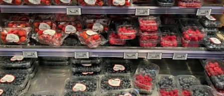 A Firenze timidi segnali di un ritorno alla normalità per i piccoli frutti-image