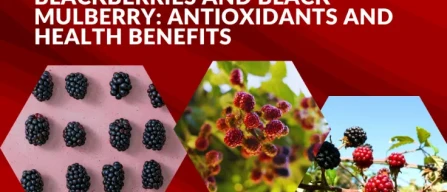 Blackberries and black mulberry: nutrients, antioxidants and berry health benefits for wellness-image