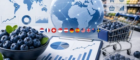 Global blueberry online prices rise 5.4% in week 23/2026 across Europe, US and Asia-Pacific-image