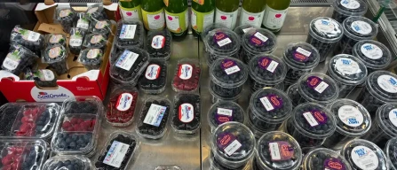 Berries in Piacenza: Italian blueberry season ends as foreign supply expands across retail stores-image