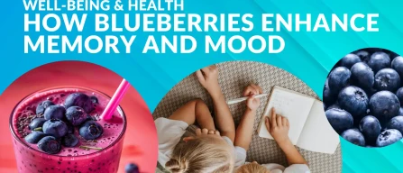 Cognitive benefits of blueberries: how berries enhance memory and mood in children, adults and the elderly-image