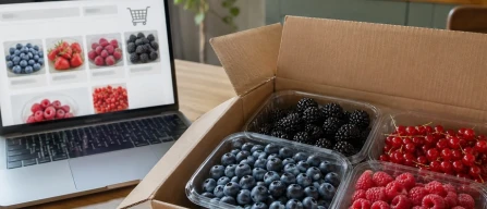 Italian retail berry prices: blueberries rise in week 32 of 2026 as weekly index gains 0.7%-image