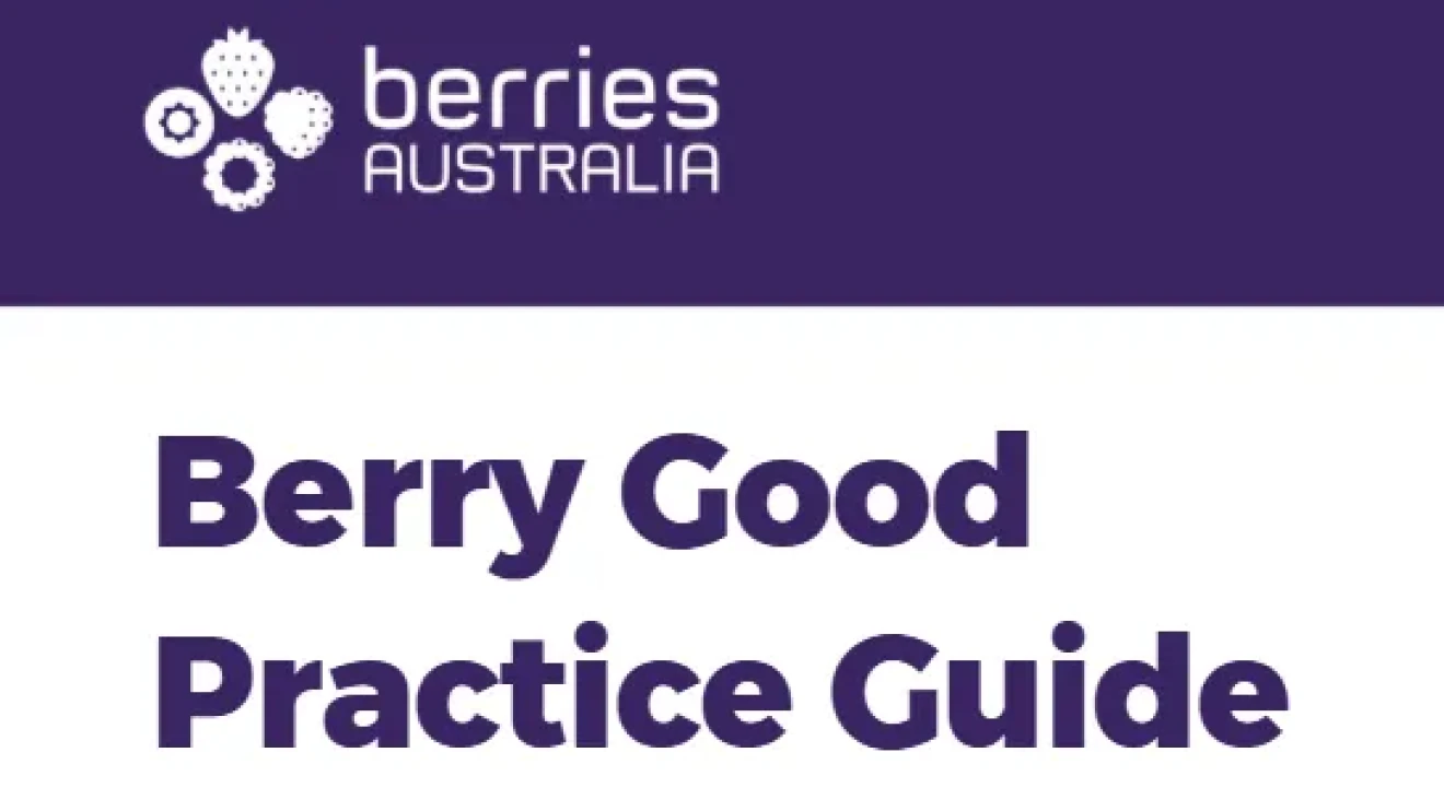 Australia: nasce in NSW la guida Berry Good Practice per la sostenibilità dei piccoli frutti-image