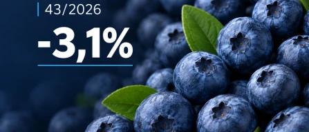 Organic blueberry prices fall 3.1% in week 43 of 2026 as the global index declines by 0.7%-image