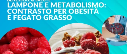 Lampone e metabolismo: i composti aromatici naturali che contrastano obesità e fegato grasso-image