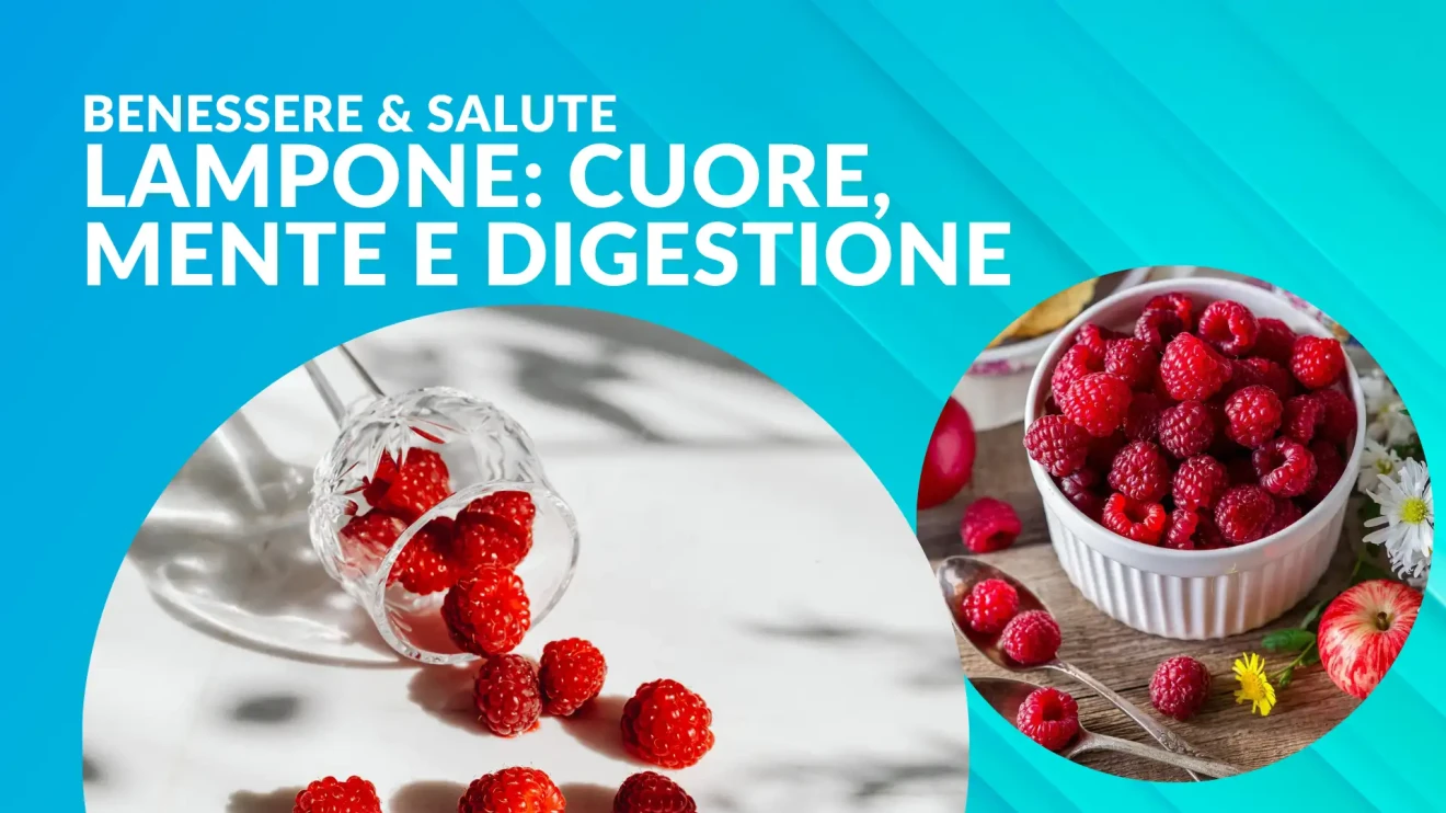 Benefici del lampone per cuore, mente e digestione-image