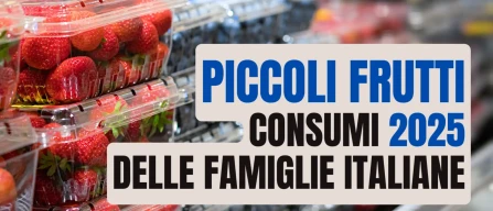 Piccoli frutti in forte crescita nel 2025: spesa +35% e volumi +41% secondo YouGov – Italian Berry-image