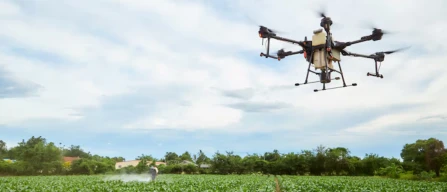 AI in agriculture: a revolution for blueberry farming -image