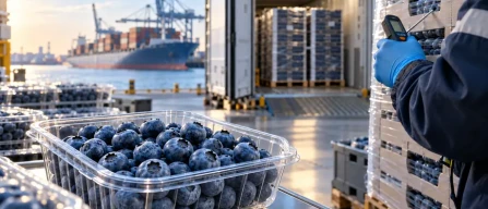 Twelve months of berries: the work behind the shelf-image