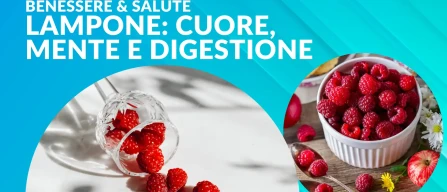 Benefici del lampone per cuore, mente e digestione-image