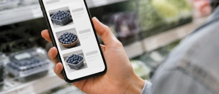 Prezzi globali dei mirtilli, settimana 32/2026: indice +0,7%, standard sale e premium arretra-image
