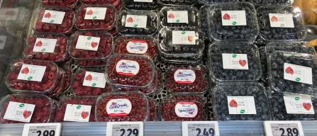 Buona la qualità nell'assortimento berries nella GDO a Milano-image