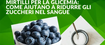 Mirtilli per la glicemia: come aiutano a ridurre gli zuccheri nel sangue-image